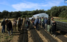 La CAPA lance la première pépinière d’entreprise agricole de Corse