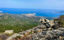 La photo du jour : la tortue de la croix des Autrichiens