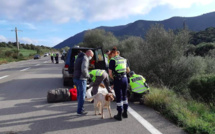 Haute-Corse : en février, 1500 contrôles de la police de l’environnement