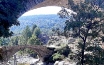 La photo du jour : Ponte Altu di Albertacce