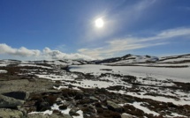 La photo du jour : sur la plateau du Coscionu