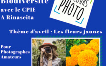 Prunelli-di-Fiumorbu : Un concours photo lancé sur le thème de la biodiversité