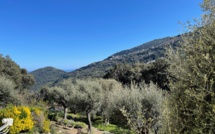 La météo du mercredi 7 avril 2021 en Corse