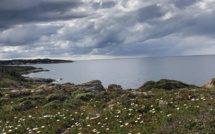La météo du jeudi 15 avril 2021 en Corse