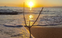 La météo du jeudi 6 mai 2021 en Corse