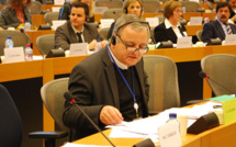 Francois Alfonsi :" L'initiative militaire ne peut rester sans suite politique au Mali"