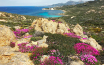 Météo de la semaine en Corse : un temps bien agité pour les Saints de glace 