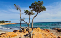 La météo du jeudi 13 mai 2021 en Corse