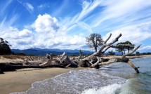 La photo du jour : la plage de Solenzara, les montagnes de Ventiseri
