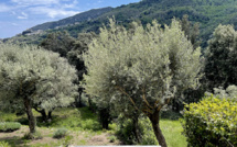 La météo du jeudi 20 mai 2021 en Corse