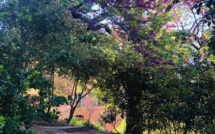 La photo du jour : un kaléidoscope de couleurs au jardin Romieu