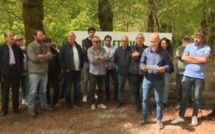 Territoriales - U Cullettivu per a furesta corsa aux candidats : "il y a nécessité de se pencher sur l’avenir d’une forêt à l’abandon"