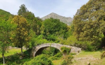 La photo du jour : d'Olmi-Cappella et Musuleu à la vallée de Tartagine