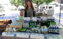 TÉMOIGNAGES - Ces Corses poussés à changer de voie par la pandémie