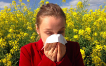 Pic de pollens en Corse : attention aux allergies