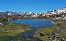 La photo du jour : magnifique Ninu