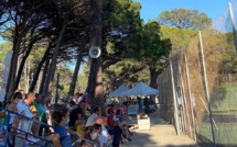 Championnats de Corse de tennis à Calvi : en place pour les finales