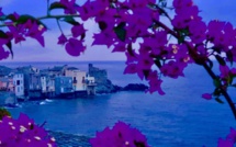 La photo du jour : l'aurore à Erbalonga