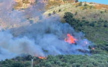 Ajaccio : six hectares brûlés à la Confina