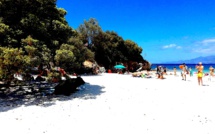 La photo du jour : surveillant de baignade sur la plage du Lotu