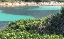 La météo du lundi 28 juin 2021 en Corse