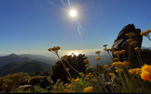 La météo du jeudi 1 juillet 2021 en Corse