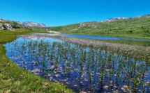 La photo du jour : balade au lac de Ninu