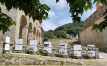 La Maison de l'Architecture de Corse à la rencontre des habitants de l'Île