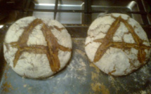 Moissons à Cardo : ce dimanche l’Agora réouvre ses portes… en plein air !