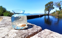 La météo du lundi 12 juillet 2021 en Corse