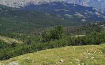 La météo du vendredi 16 juillet 2021 en Corse