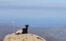 La photo du jour : vue imprenable sur l'Ile-Rousse