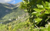 Météo corse : semaine estivale avec toujours un petit vent d’Ouest