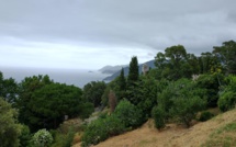 La météo corse du jeudi 22 juillet 2021