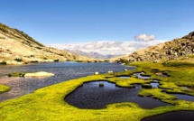 La photo du jour : au lavu de l’Oriente