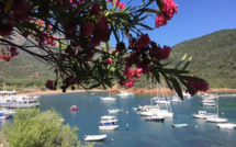 La météo du vendredi 23 juillet 2021 en Corse