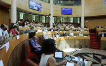 Assemblée de Corse : unanimité pour les présidents des Services d’Incendie et de Secours
