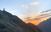 La photo du jour : mouflon et lever de soleil sur la vallée de l'Ascu