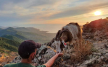 La photo du jour : Santu Eliseu, u mare, Raffaeddu...