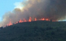 Incendie à Valle di Rostino : 15 à 20 ha parcourus