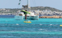 La photo du jour : Jack Russel windsurfeur à Bonifacio