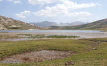 La photo du jour : la sérénité du lac de Ninu