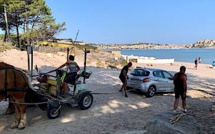 VIDEO - Plage de Calvi : les chevaux au secours de l'auto