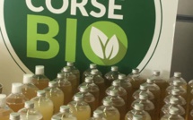 A Biguglia, Centrale Bio Corse transforme les huiles usagées en savon