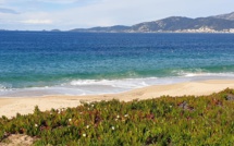 La météo du jeudi 26 août 2021 en Corse