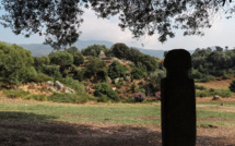 La photo du jour : un menhir regarde le site de Filitosa 