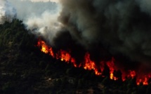Ghisonaccia : Le feu a parcouru 190 hectares