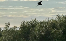 La météo du jeudi 9 septembre 2021 en Corse