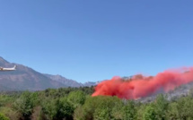 Incendies simultanés en Corse-du-Sud : la gendarmerie lance un appel à témoin