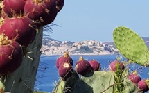 La météo du samedi 11 septembre 2021 en Corse